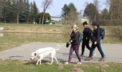 Podsumowanie Spaceru Obywatelskiego – Korekta Przebiegu Szlaku Pieszego – Żółtego „Wokół Połczyna-Zdroju”