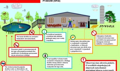 Instrukcje dotyczące zachowania podczas ptasiej grypy