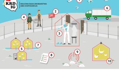 Instrukcje dotyczące zachowania podczas ptasiej grypy