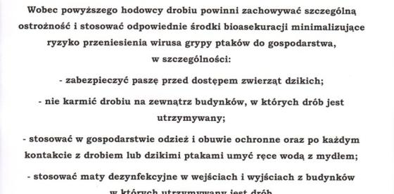 Informacja Głównego Lekarza Weterynarii
